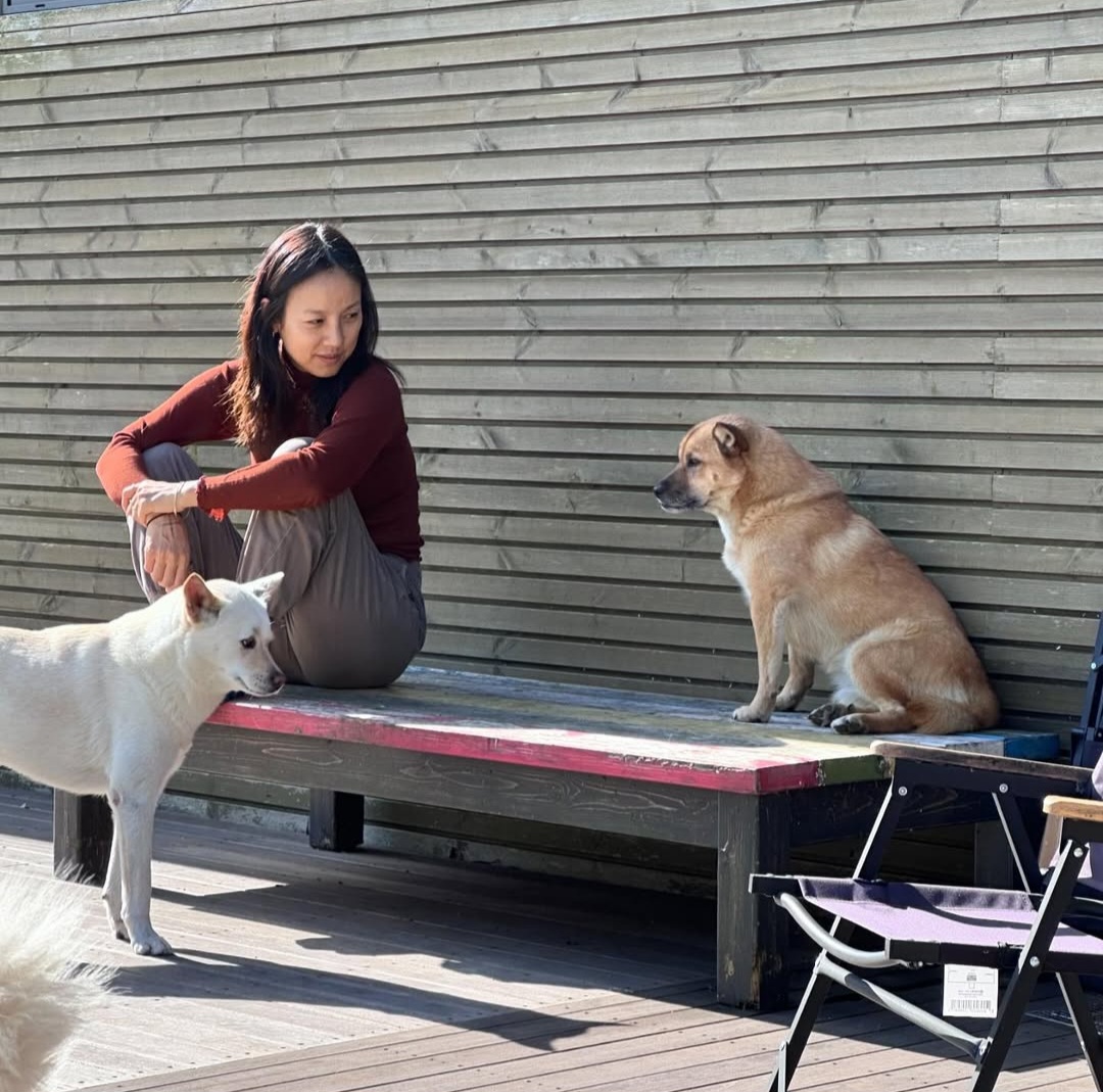 <b>이효리</b>, 암 말기 <b>반려견</b>과 작별 “<b>석삼</b>아 잘 가라”