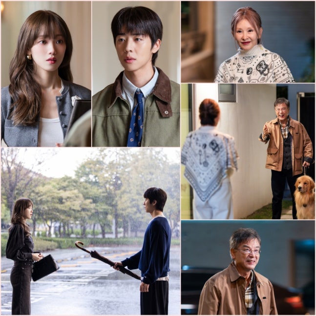 《在你燦爛的季節》李聖經蔡鍾協攜手演繹跨世代愛情線的溫暖羅曼史