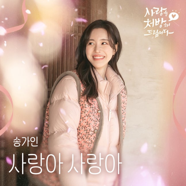 인기 연예 뉴스 모음