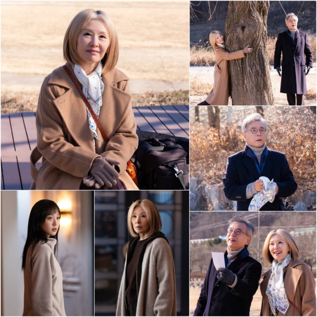 《在你燦爛的季節》金娜娜春川失蹤 曹承佑與李美淑攜手揭露失智疑雲