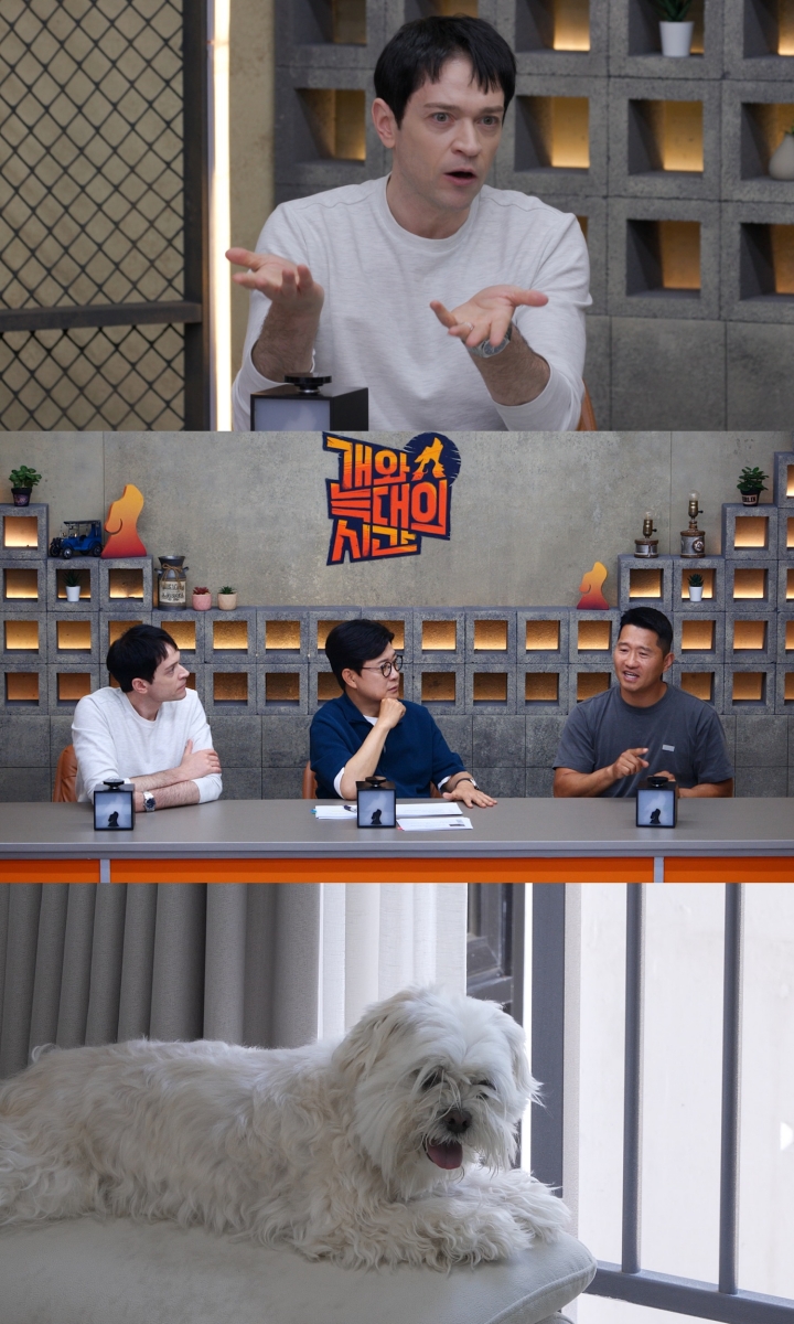 다니엘 린데만, 독일 반려문화 시선 더한다…'<b>개늑시</b>2' 스페셜 MC 합류