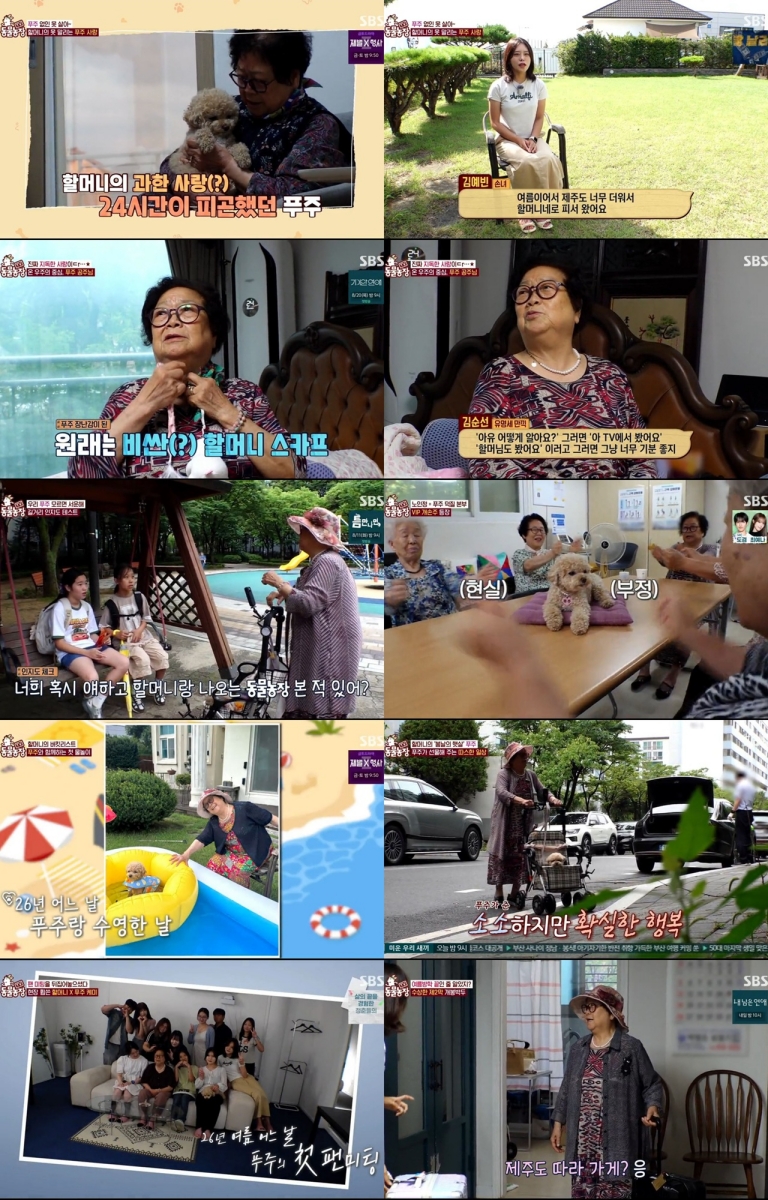 '<b>동물농장</b>' 90세 할머니, 견손주 푸주 위해 제주도行 결심