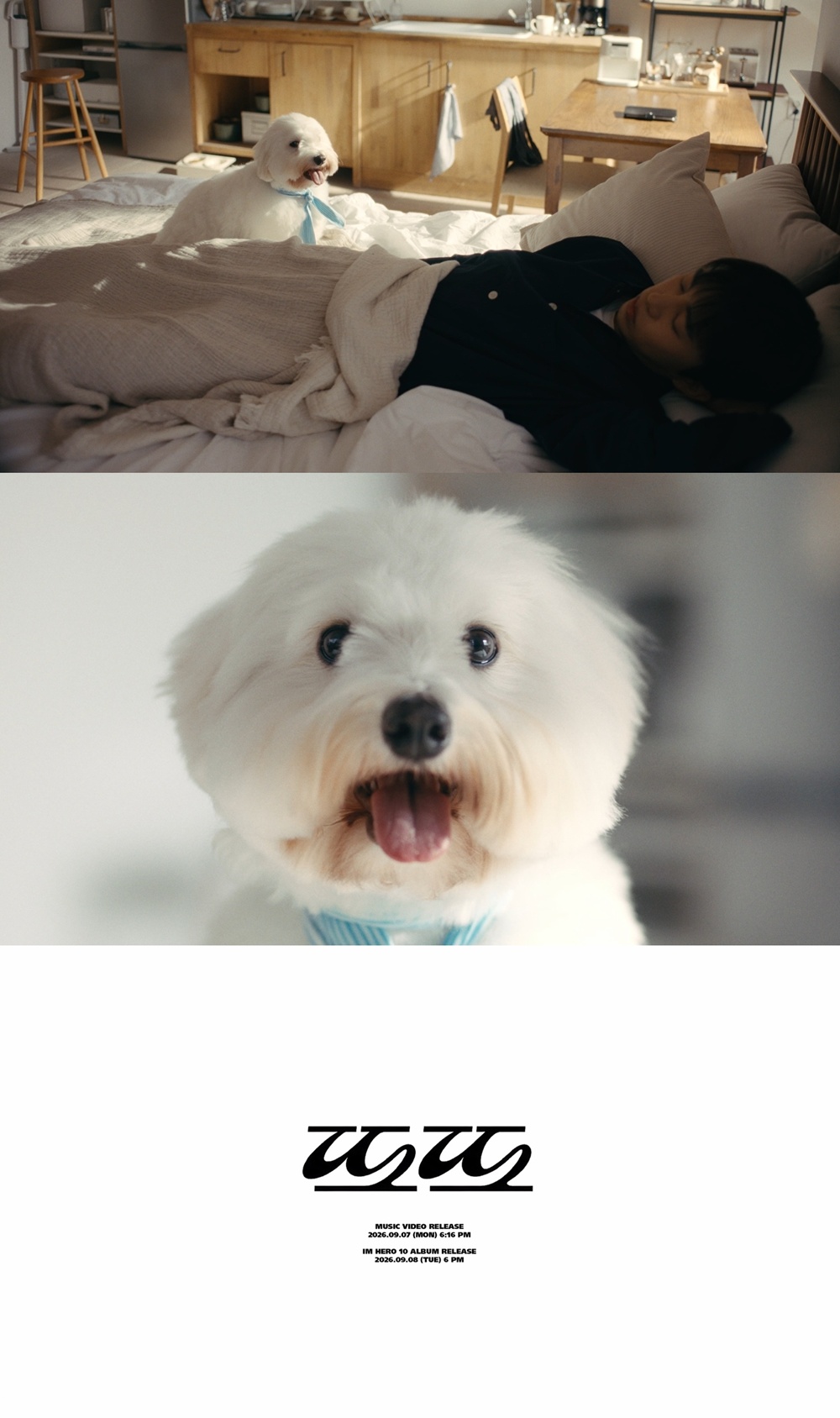 <b>임영웅</b>, 스페셜 앨범 타이틀곡은 자작곡 '<b>또또</b>'…티저 영상 공개