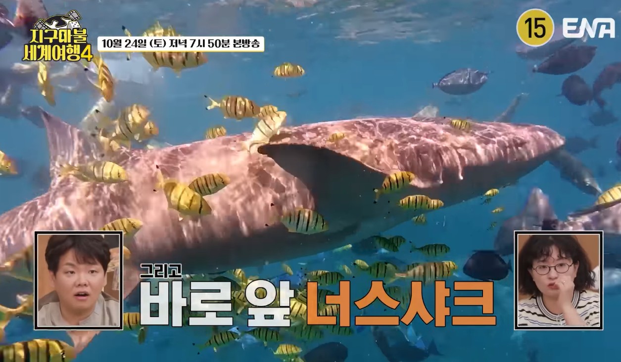 지구마불 세계여행 시즌 4 액티비티 도전기와 주요 내용 관련 사진