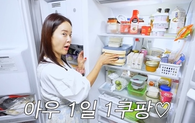 “1일 1쿠팡” 백지영, 프레시백 논란에 사과…알고보니 집안 곳곳이 쿠팡템