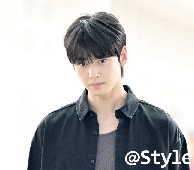 '200억 원 탈세 의혹'…차은우 측 입장 "어머니가 세운 법인, 절차 따를 것"