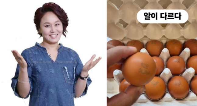 0000318812_002_20251120090507563.png?type=w647