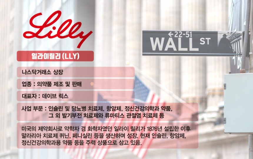 일라이릴리가 올해 1분기 호실적을 발표했지만 주가는 하락했다.사진은 일라이릴리 기업 정보./사진=김은옥 기자