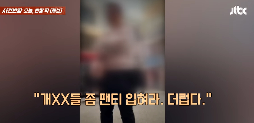 반려견과 산책 중인 견주가 지나가던 행인으로부터 개들도 속옷을 입혀야 한다는 요구를 받았다.영상은 지난 2일 방영된 JTBC '사건반장' 방영분 중 일부./영상=유튜브 JTBC 캡처 
