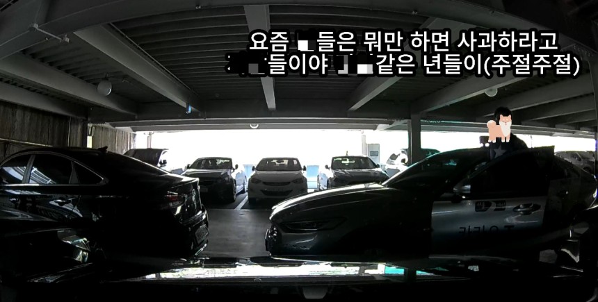 기어 중립을 하지 않고 차량을 2중 주차한 택시 기사가 이동을 요구한 여성 운전자에게 욕설을 날렸다.사진은 지난 2일 한 온라인커뮤니티에서 화제가 된 주차 시비 영상 중 일부./사진=온라인커뮤니티 캡처
