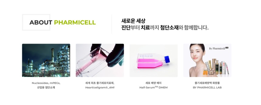 DS투자증권은 파미셀에 대해 9일 투자의견 '매수',목표주가 1만6500원을 제시했다.사진은 파미셀 홈페이지 갈무리./사진=파미셀