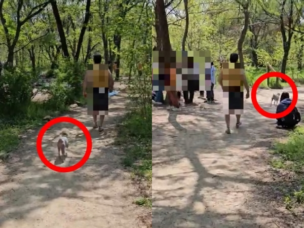 목줄 없이 반려견을 산책시키던 견주에게 목줄 착용을 요청했다가 욕설을 들었다는 한 누리꾼의 사연이 전해졌다.사진은 목줄 요청을 받은 견주가 욕설을 내뱉자 아이들이 없는 곳에서 얘기하자고 한 후 이동하는 장면./사