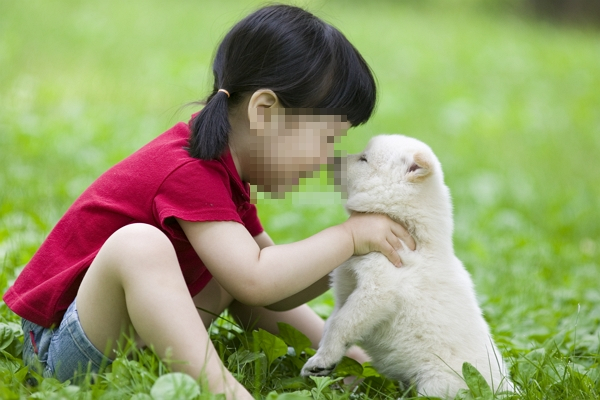 배변을 치우지 않았다던 아이는 자필사과문을 작성했다.사진은 기사의 이해를 돕기 위한 자료 사진./사진=이미지투데이