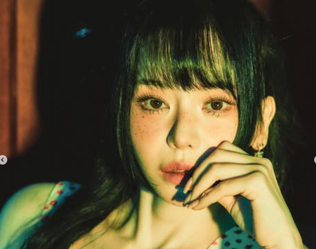 '고소장 접수' <b>서유리</b> "아직도 사태 파악이 안 돼?"… <b>악플러</b>에 경고장