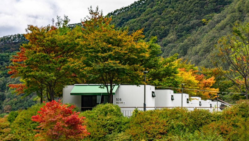 <b>봉화</b>군 '<b>청량산 수원캠핑장</b>' 개장…소멸위기 지역 상생모델