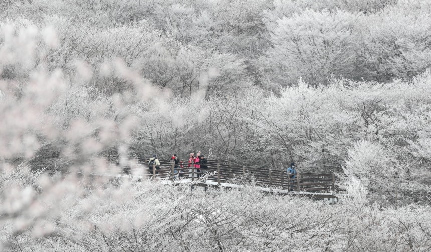 제주도 한라산에 눈이 많이 내려 탐방로가 통제됐다./사진=뉴시스