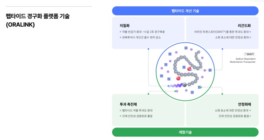 차세대 비만 치료제를 개발 중인 국내 기업이 주목된다.사진은 디앤디파마텍의 경구화 플랫폼 기술 오랄링크 설명./사진=디앤디파마텍