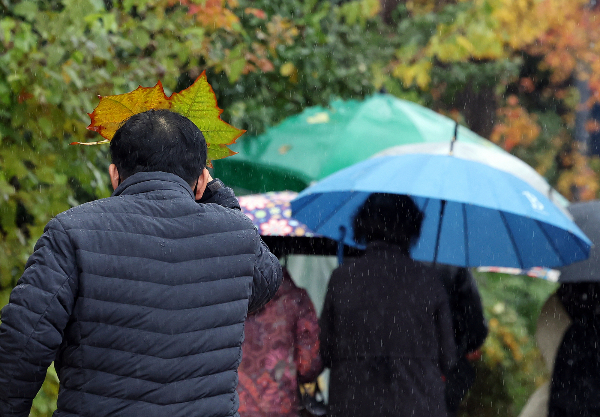 토요일인 오는 20일 전국 곳곳에 비가 내릴 전망이다.사진은 서울 종로구 대학로 일대에 한 시민이 나뭇잎으로 비를 막으며 발걸음을 옮기는 모습./사진=뉴스1