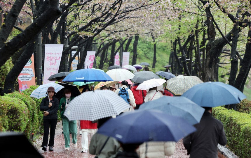 오는 20일 전국 대부분 지역에 비가 내리고 기온이 떨어질 것으로 예상된다. 사진은 지난달 9일 서울 송파구 석촌호수의 모습. /사진=뉴스1