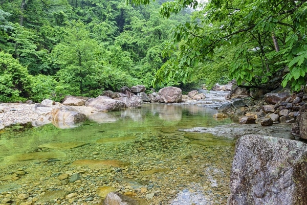 "아이도 있는데"…계곡서 실오라기 하나 없이 '알몸' 활보한 남성, 충격