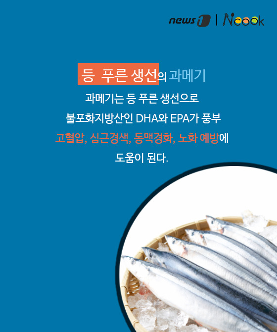 바다쿡 이미지