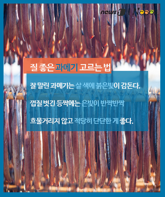 바다쿡 이미지