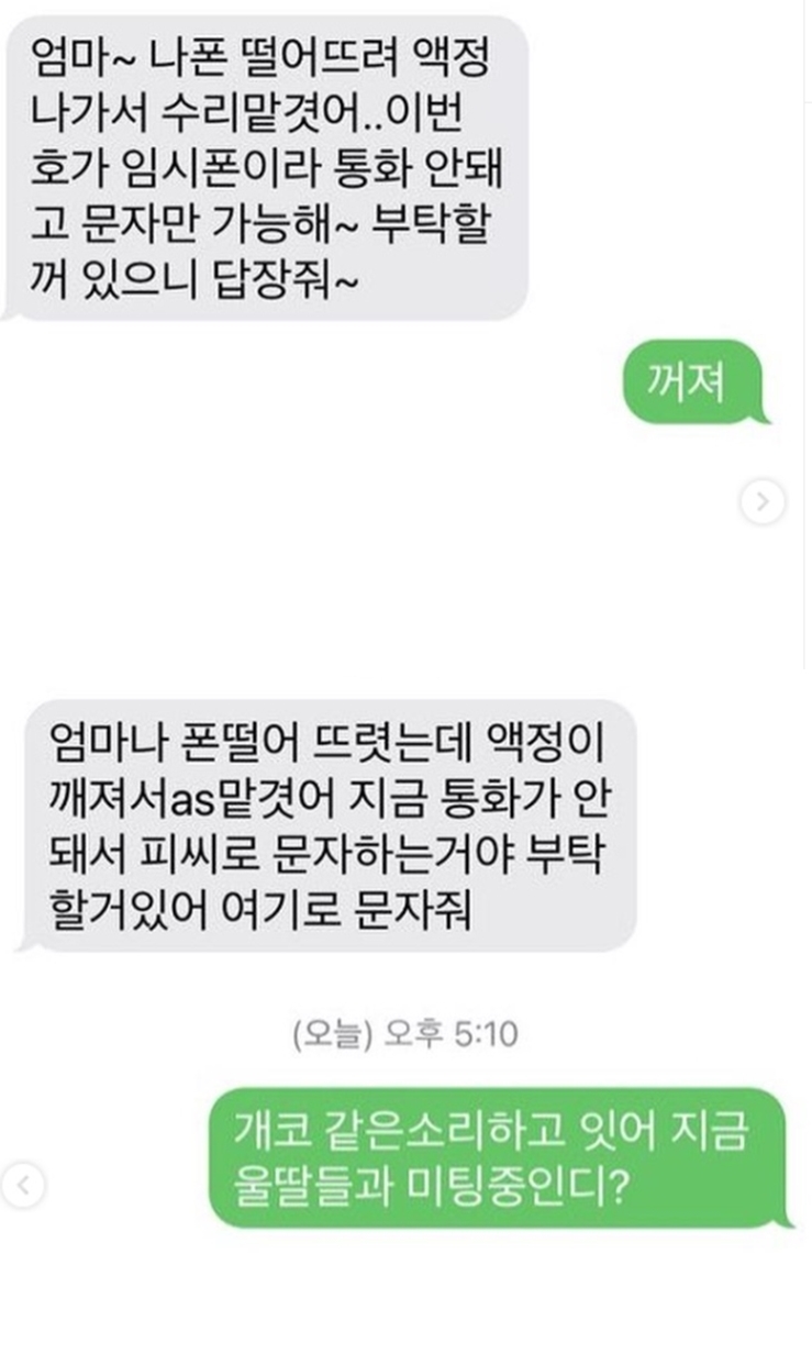 원본 이미지