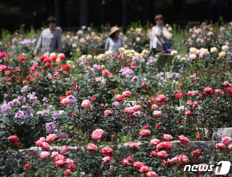 [이번주 날씨] 화요일까지 황사…낮 최고 29도 '초여름'