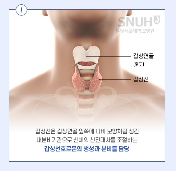 암 발생 1위 '갑상선암'