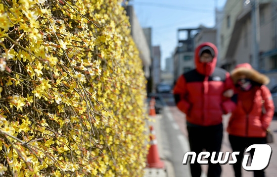 [오늘의 날씨]대전·충남(10일, 일)…아침 기온 -5도 내외