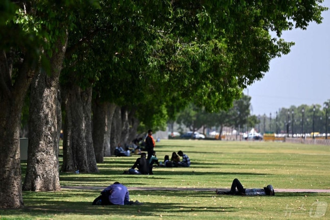 People exhausted by the heat are resting in the shade on the lawn of India Gate in New Delhi, India on the 25th (local time). April 25, 2024 ⓒ AFP=News1 ⓒ News1 Reporter Jeong Ji-yoon