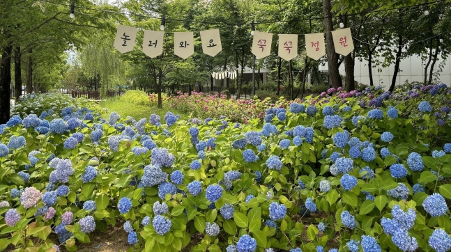 在Jongchon -dong -Si -Si的Jongchon -Si建造的繡球花園。（由Sejong City提供） / News1