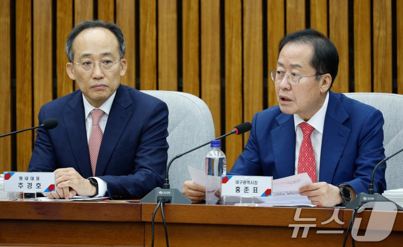 <b>홍준표</b> "원외 당 대표가 원내 사안 관여하면 <b>월권</b>" 한동훈 또 저격