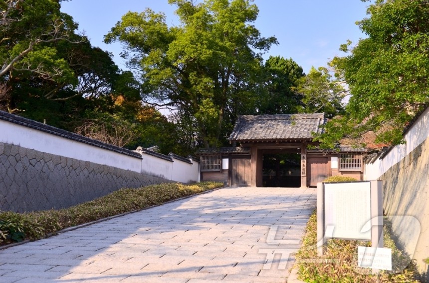 Ϻ 캣 ļϸ(ǳ )