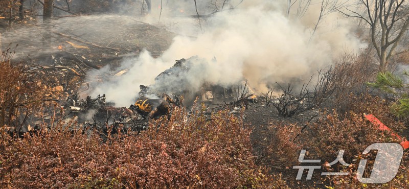Korean news article image
