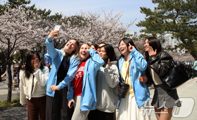 Korean news article image
