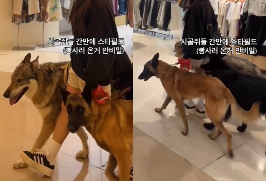 (SNS 갈무리)