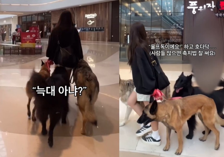 (SNS 갈무리)