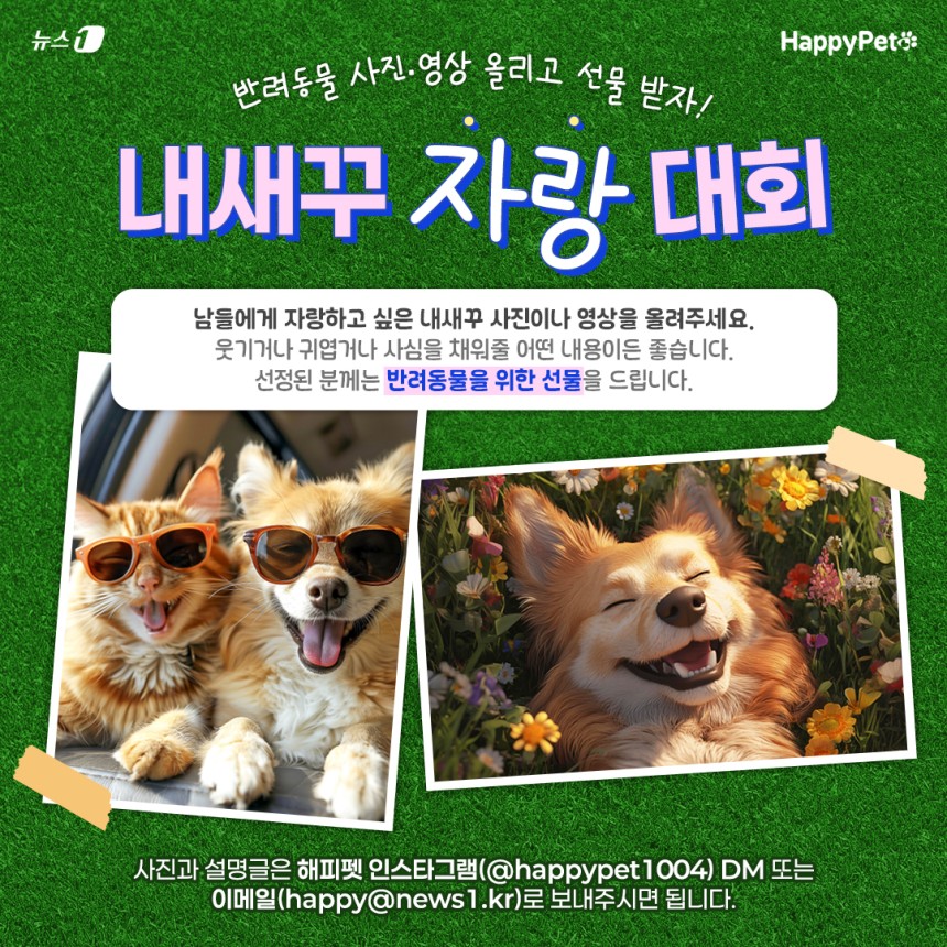 해피펫 내새꾸 자랑대회에 참여하시면 반려동물을 위한 선물을 드립니다.ⓒ 뉴스1 이지윤 디자이너