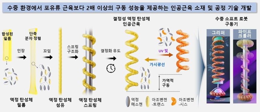 광화학 기반 로봇용 인공근육 개발 모식도.(한국화학연구원 제공.재판매 및 DB금지)