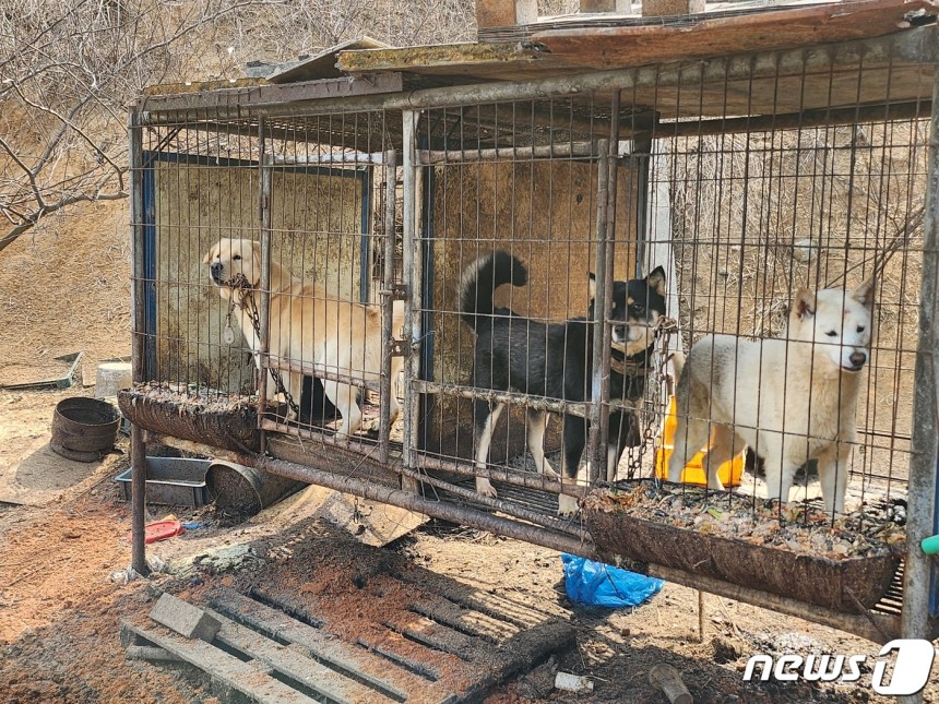 자료사진/뉴스1
