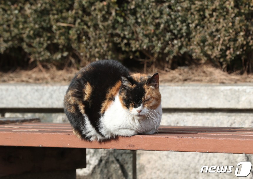 (사진은 기사 내용과 무관함) / 뉴스1 ⓒ News1
