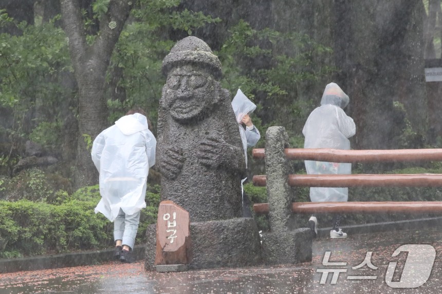 제주 대부분 지역에 호우특보가 내려진 9일 오전 제주시 봉개동 절물자연휴양림에 많은 비가 내려 탐방객이 급히 발걸음을 옮기고 있다.2025.5.9/뉴스1 ⓒ News1 오현지 기자