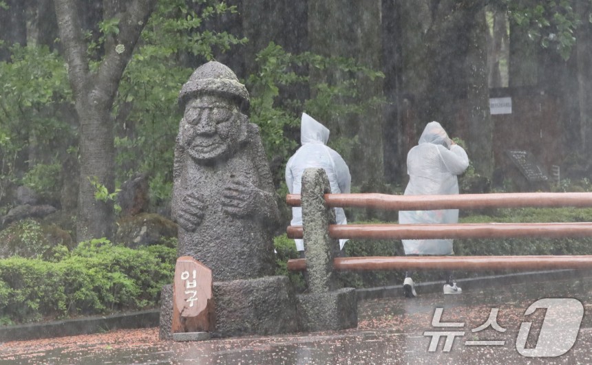 제주 대부분 지역에 호우특보가 내려진 9일 오전 제주시 봉개동 절물자연휴양림에 많은 비가 내려 탐방객이 급히 발걸음을 옮기고 있다.2025.5.9/뉴스1 ⓒ News1 오현지 기자