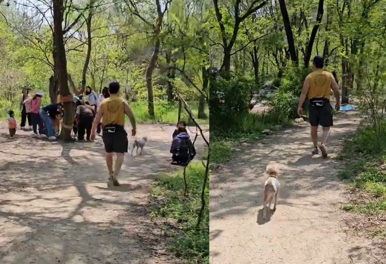 (온라인 커뮤니티 '보배드림' 갈무리)