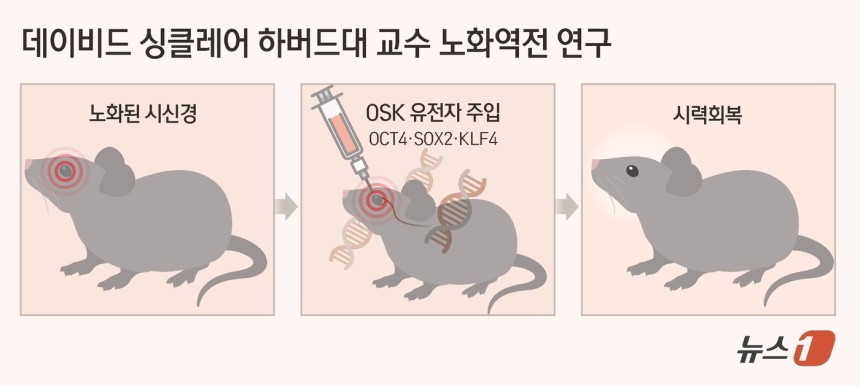 ⓒ News1 김초희 디자이너