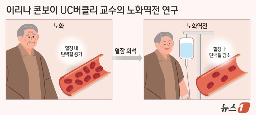 ⓒ News1 김지영 디자이너