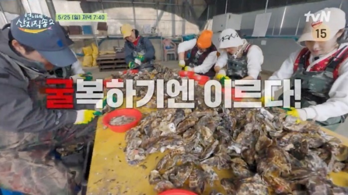 '언산2' 4남매→김재화·<b>윤경호</b>, 900kg 굴 따러 간다…곡소리 난무