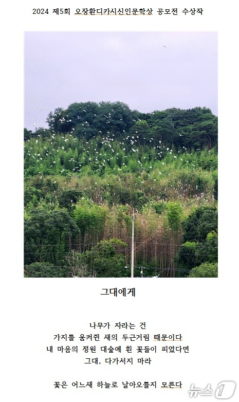5회 오장환디카시 신인문학상 수상작인 김성환씨의 디카시 '그대에게' (보은군 제공. 재판매 및 DB금지)/뉴스1