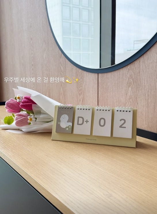 40세 <b>레이디제인</b>, 3차 시험관 끝에 '<b>쌍둥이</b> 엄마' 됐다…"환영해" 감격 ...